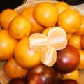 Orange / Clementienen / Apfel - Gelee