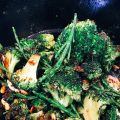 Broccoli, Queller, Austernsauce