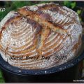 World- Bread-Day: Topf-Brot Dinkel-Roggen