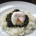 Beluga-Linsen mit Spinat und pochiertem Ei