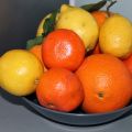 Orangen, Mandarinen und Zitronen
