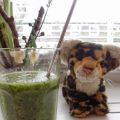 DIY Green Smoothie - Grünes Shake mit Spinat[...]