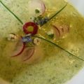 Radieschen-ZitronenMelisse-Suppe mit[...]