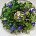 Löwenzahn-Agano-Kerbel-Salat mit[...]