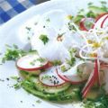 Radieschen-Rettich-Salat auf Gurke