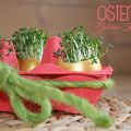 [DIY] OSTERDEKO - Goldene Kresse-Eier