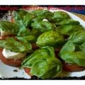 Salat: Gudrun´s Tomaten-Mozarella-Salat mit[...]