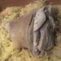 Schwein: Deftiges Eisbein mit Sauerkraut
