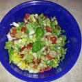 Gemüse-Salat mit Radischen, Balsamico-Essig,[...]
