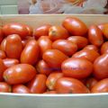 Selbstgemachte Tomatensoße mit Ingwer-Balsam