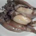 Gebratene Sepia (Tintenfisch) auf scharzen[...]