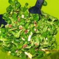 Salat: Salat von jungem Spinat mit Speck