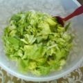 Grüner Salat mit Zitronen-Kräuterdressing