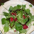 Salat Portulak mit Himbeeren