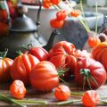 Usbekischer Tomaten-Salat