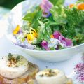 Kräuter-Blüten-Salat mit Ziegenkäse und[...]