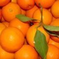 Orangenmarmelade mit Ingwer und Schmackes
