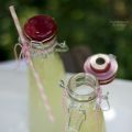 Rezepte fürs Picknick #2: Zitronenlimo und[...]