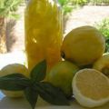 Limoncello selbstgemacht