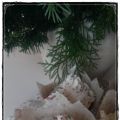 weihnachtliche Cupcakes mit Mandeln und Zimt
