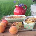 Ein Sommerpicknick: Aprikosen-Mandel-Kuchen