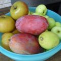 Apfel-Mango-Kompott
