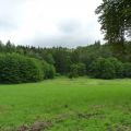 Natur pur - Veganer Urlaub im Harz