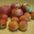 Aprikosen-Apfel-Blechkuchen