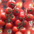Wann gibt es endlich gescheite Tomaten ?