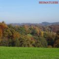 Heim@Erde - Indian Summer!