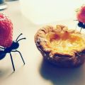 Pasteis de Nata - Urlaub in Cupcakeform