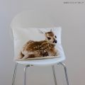 Bambi ♥