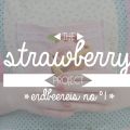 the strawberry project {Erdbeereis No°1}