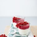 [Beerenhunger] Topfencreme mit Ribisel Sauce