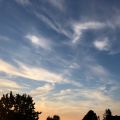 Sieben Dinge, die mir im Sommer gute Laune[...]