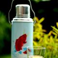 Ingwerwasser