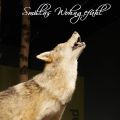 Samstagskaffee + Ausflugstipp: das Wolfcenter[...]