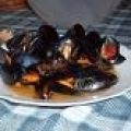 Miesmuscheln auf apulische Art (peppata di[...]