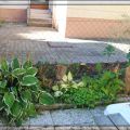 Gartenbilder...