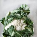Quinoa Tricolore Blumekohl Cakes + Gurken[...]