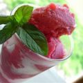 Sorbet aus Cranberries und Himbeeren