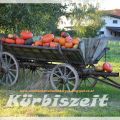 HERBST-KÜRBIS-KUACHA.......