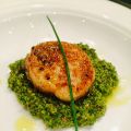 Jakobsmuscheln in Pistazien- Sumachkruste mit[...]