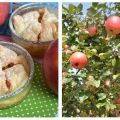 {Rezept} Süßer Apfelnachtisch im Glas