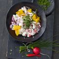 Dorsch-Ceviche mit Radieschen