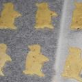 5. Dezember. Adipöse Pinguine und andere[...]