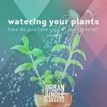 Wasser marsch oder “watering your plants - how[...]