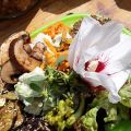 Potluck mit Hibiskusblüten essbar?