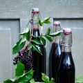Frisch aus dem Garten: Holunderbeeren-Essig