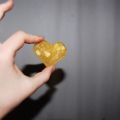 Zitronenpudding mit Karamell